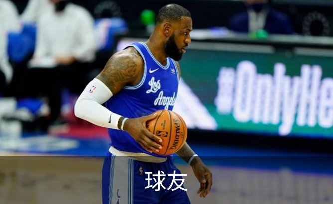 球友概况